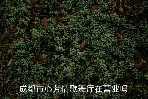 成都市營業的舞廳，成都市心芳情歌舞廳在營業嗎
