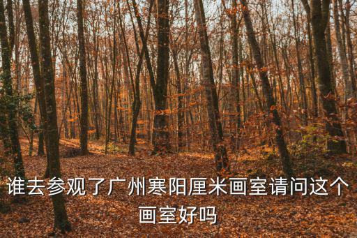 誰去參觀了廣州寒陽厘米畫室請問這個畫室好嗎