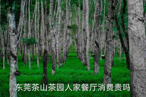 東莞茶山茶園人家餐廳消費貴嗎