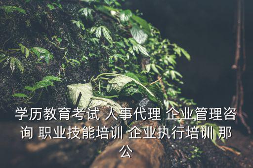 學(xué)歷教育考試 人事代理 企業(yè)管理咨詢 職業(yè)技能培訓(xùn) 企業(yè)執(zhí)行培訓(xùn) 那公
