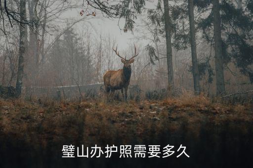 重慶市璧山區出入境辦證大廳，璧山辦護照需要多久