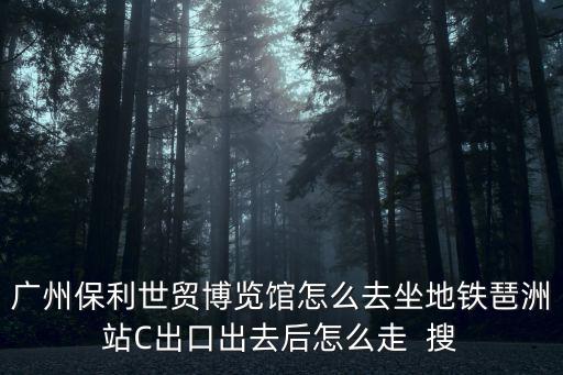 廣州保利世貿博覽館怎么去坐地鐵琶洲站C出口出去后怎么走  搜