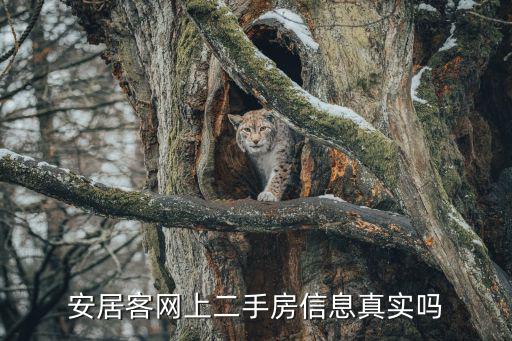 安居客網上二手房信息真實嗎