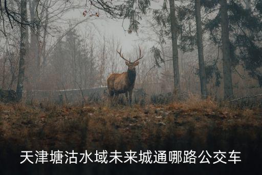天津塘沽水域未來城通哪路公交車