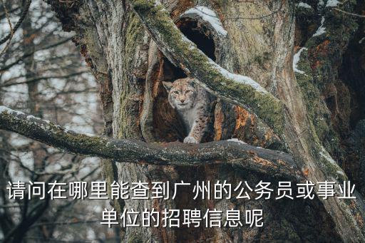 請問在哪里能查到廣州的公務(wù)員或事業(yè)單位的招聘信息呢