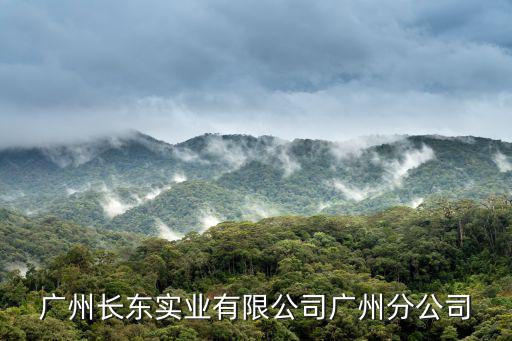 廣州長東實業(yè)有限公司廣州分公司