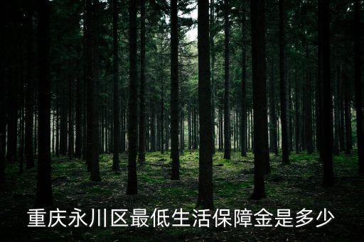 重慶永川區最低生活保障金是多少