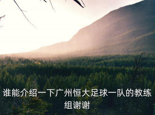 誰能介紹一下廣州恒大足球一隊的教練組謝謝