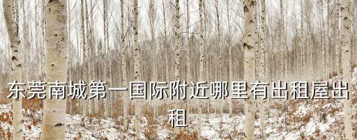 東莞南城第一國際附近哪里有出租屋出租