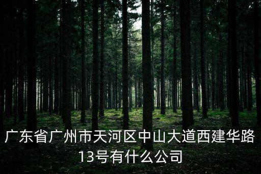 廣東省廣州市天河區(qū)中山大道西建華路13號有什么公司