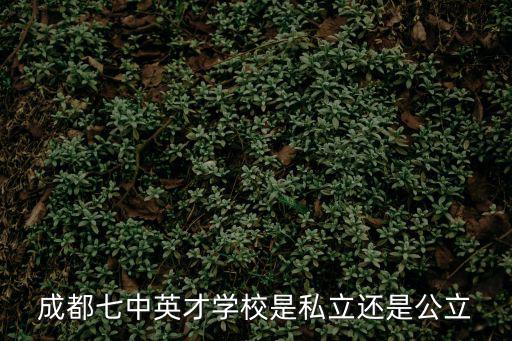 成都七中英才學校是私立還是公立
