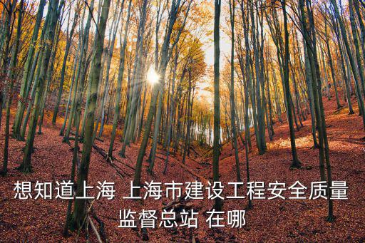 想知道上海 上海市建設工程安全質量監督總站 在哪