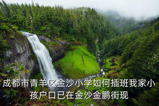 成都市青羊區(qū)金沙小學(xué)如何插班我家小孩戶口已在金沙金鵬街現(xiàn)
