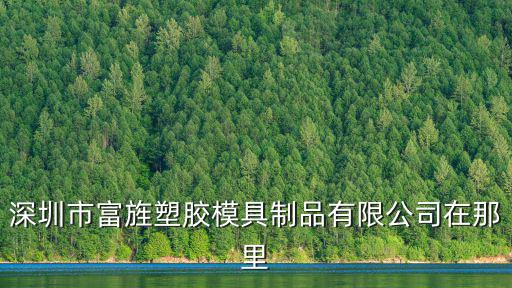 深圳市富旌塑膠模具制品有限公司在那里