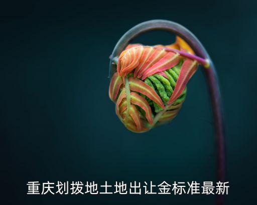重慶劃撥地土地出讓金標準最新