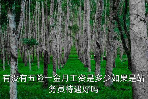 有沒有五險一金月工資是多少如果是站務員待遇好嗎