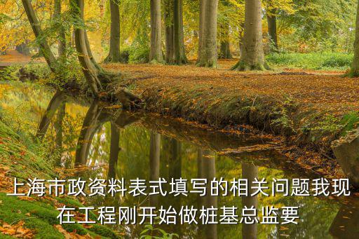 上海市政資料表式填寫的相關(guān)問題我現(xiàn)在工程剛開始做樁基總監(jiān)要