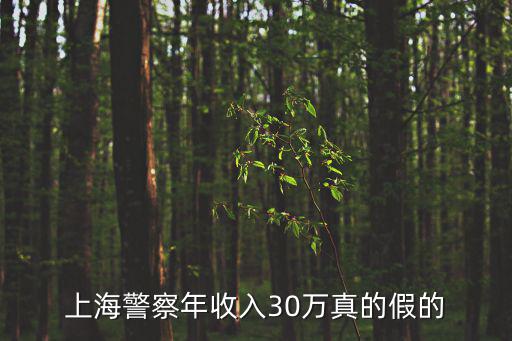 上海警察年收入30萬真的假的