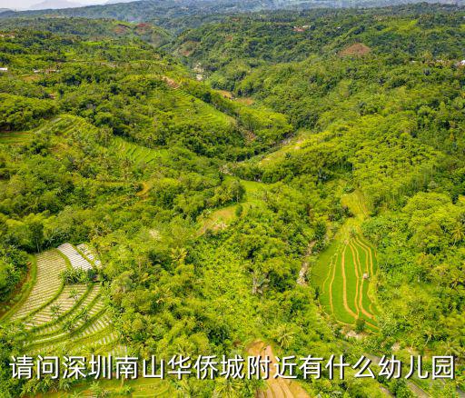 請問深圳南山華僑城附近有什么幼兒園