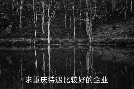 求重慶待遇比較好的企業