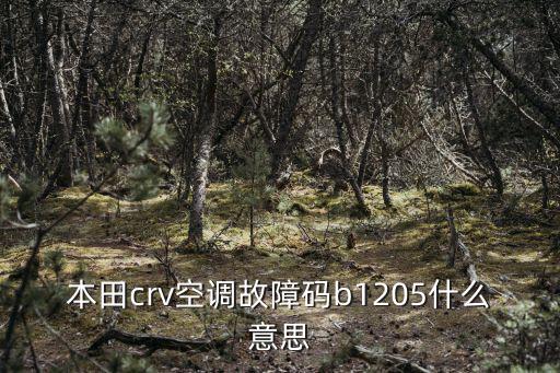 本田crv空調故障碼b1205什么意思