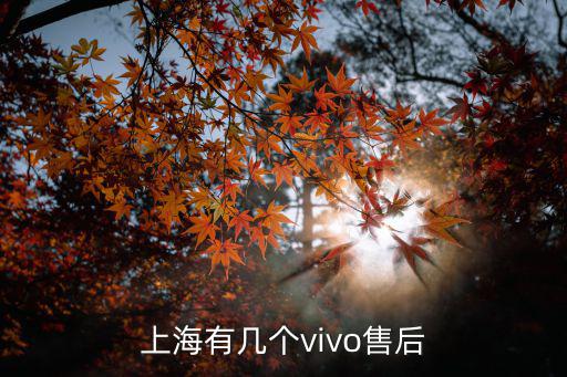 上海市浦東新區vivo售后，vivo售后服務地址上海楊浦