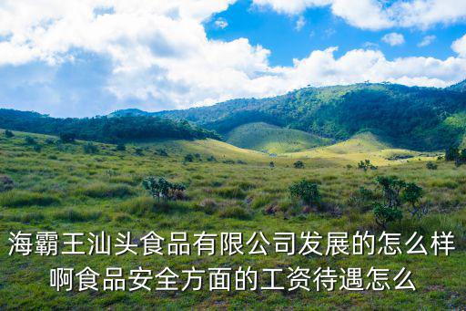 海霸王汕頭食品有限公司發(fā)展的怎么樣啊食品安全方面的工資待遇怎么