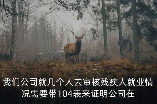我們公司就幾個人去審核殘疾人就業(yè)情況需要帶104表來證明公司在