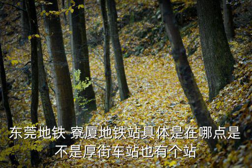 東莞地鐵 寮廈地鐵站具體是在哪點是不是厚街車站也有個站