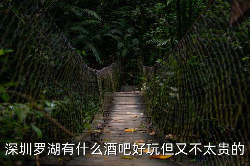 深圳羅湖有什么酒吧好玩但又不太貴的