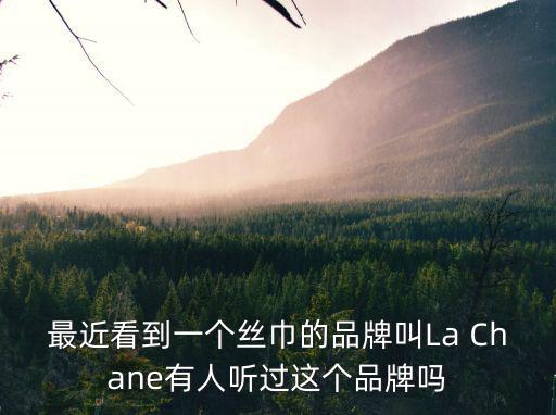 最近看到一個(gè)絲巾的品牌叫La Chane有人聽過這個(gè)品牌嗎