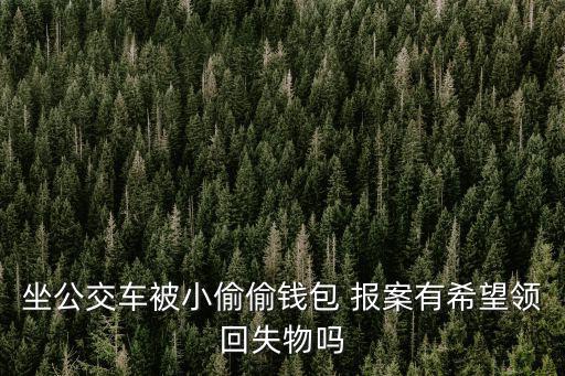 坐公交車被小偷偷錢(qián)包 報(bào)案有希望領(lǐng)回失物嗎