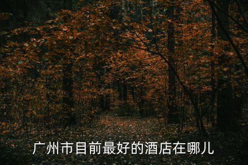 廣州市目前最好的酒店在哪兒