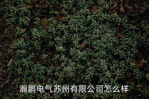 瀚鵬電氣蘇州有限公司怎么樣