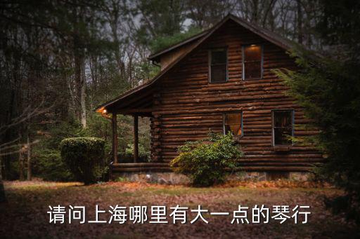 請問上海哪里有大一點的琴行