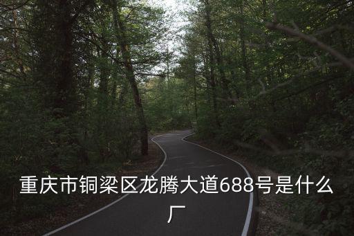 重慶市銅梁區龍騰大道688號是什么廠