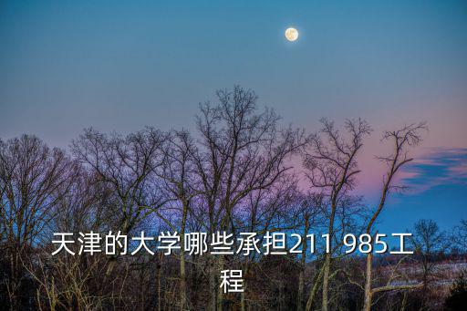 天津的大學(xué)哪些承擔(dān)211 985工程