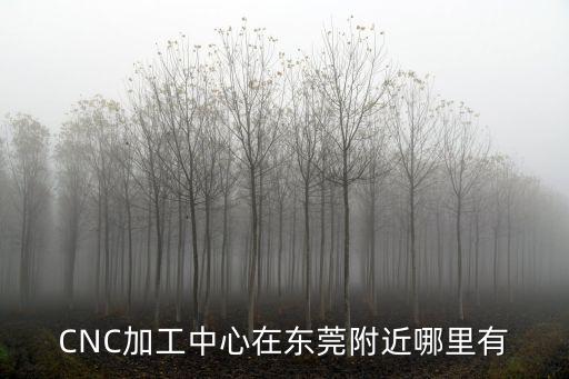 東莞正通cnc加工廠，東莞哪里有CNC加工廠