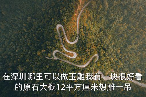 深圳墻面玉雕，在深圳哪里可以做玉雕我有一塊很好看的原石大概12平方厘米想雕一吊