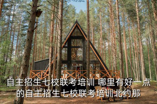自主招生七校聯考培訓 哪里有好一點的自主招生七校聯考培訓北約那