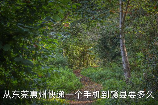 從東莞惠州快遞一個手機到贛縣要多久