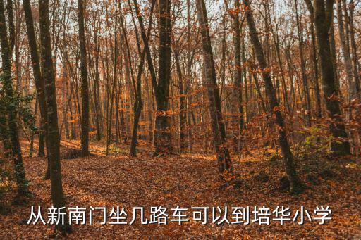 從新南門坐幾路車可以到培華小學