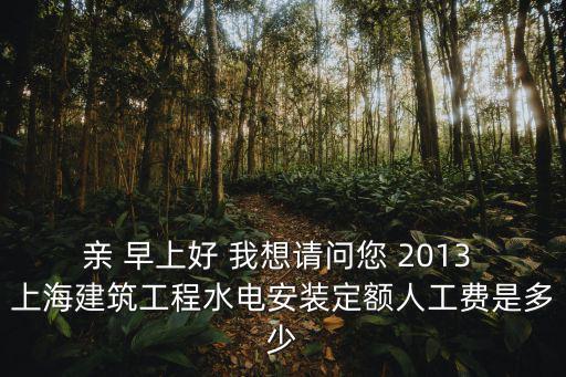 親 早上好 我想請問您 2013 上海建筑工程水電安裝定額人工費(fèi)是多少