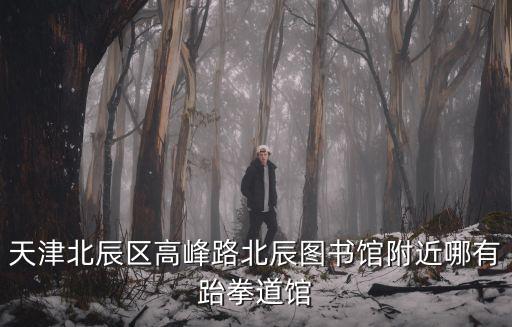 天津北辰區(qū)高峰路北辰圖書(shū)館附近哪有跆拳道館