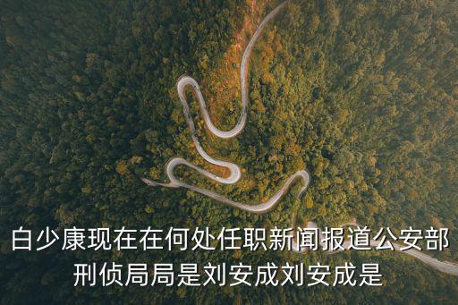 白少康現在在何處任職新聞報道公安部刑偵局局是劉安成劉安成是