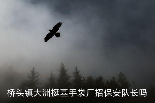 橋頭鎮大洲挺基手袋廠招保安隊長嗎