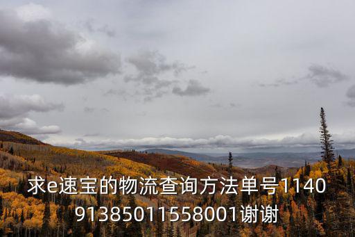 求e速寶的物流查詢方法單號(hào)114091385011558001謝謝