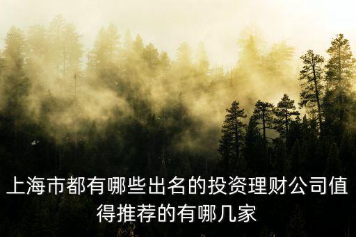 上海市知名金融企業，上海市都有哪些出名的投資理財公司值得推薦的有哪幾家