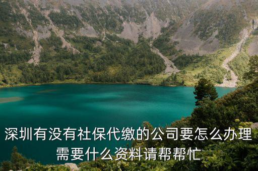 深圳有沒有社保代繳的公司要怎么辦理需要什么資料請幫幫忙
