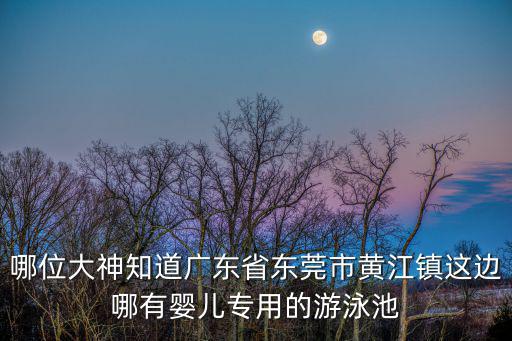 哪位大神知道廣東省東莞市黃江鎮這邊哪有嬰兒專用的游泳池